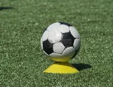 妖狐战,灰熊主场激,能否巧用攻,Bwin体育,体育博彩,实时投注,赔率,在线体育博彩,顶级博彩平台